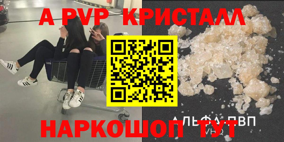 Alfa_PVP СК Печора