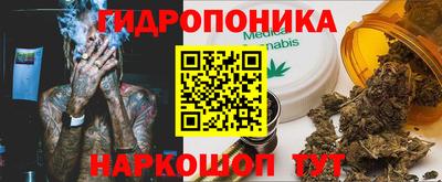 винт Славгород