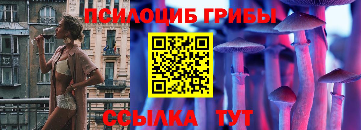Печора  Псилоцибиновые грибы Psilocybine cubensis  Вход с VPN 